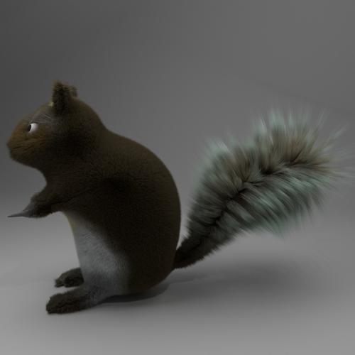 Squirrel preview image